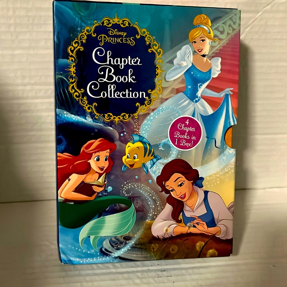 Disney Princess Chapter Book Collection 4 Chapter hardcover Books set